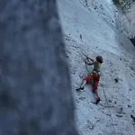 公寓 Nido Tra Gli Ulivi 菲纳莱利古雷