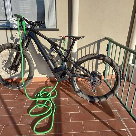 Nido Tra Gli Ulivi